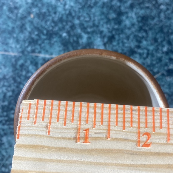 Crater Lake Oregon Collectors cup-Picture of lake with pine cones & squirrels - Picture 6 of 6